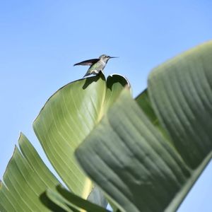 Meet your Posher, Charissa